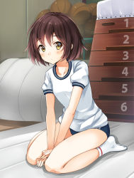 Rule 34 | 1girl, :&lt;, ball, basketball, blush, breasts, brown eyes, brown hair, buruma, collarbone, double vertical stripe, frown, gym storeroom, gym uniform, indoors, leaning forward, looking at viewer, mat, mirai denki, no shoes, original, own hands together, puffy short sleeves, puffy sleeves, shirt, short sleeves, sitting, small breasts, socks, solo, sweatdrop, v arms, vaulting horse, wariza, yellow eyes