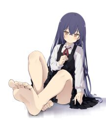 Rule 34 | 1girl, absurdres, barefoot, brown eyes, feet, highres, light blush, long hair, looking at viewer, neck ribbon, original, purple hair, ribbon, simple background, skirt, smile, soles, toes, white background