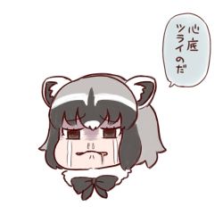 Rule 34 | 10s, 1girl, animal ears, batta (ijigen debris), black bow, black bowtie, black eyes, bow, bowtie, clenched teeth, commentary request, common raccoon (kemono friends), crying, crying with eyes open, face, fur collar, grey hair, kemono friends, looking at viewer, raccoon ears, sad, saliva, shaded face, short hair, simple background, snot, solo, speech bubble, tears, teeth, translated, white background