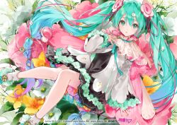 Rule 34 | 1girl, blue eyes, blue hair, commentary, dsmile, floral background, flower, hair between eyes, hair flower, hair ornament, hatsune miku, long hair, long sleeves, looking at viewer, magical mirai (vocaloid), magical mirai miku, magical mirai miku (2021), parted lips, ribbon, shoes, sleeves past wrists, socks, solo, twintails, very long hair, vocaloid