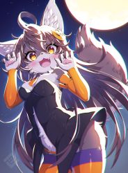Rule 34 | 1girl, :3, animal ear fluff, animal ears, animal nose, blush, body fur, brown eyes, detached sleeves, dress, fang, female focus, full moon, furry, furry female, grey fur, hair ornament, halloween, highres, jack-o&#039;-lantern hair ornament, long hair, looking at viewer, moon, night, open mouth, original, solo, striped clothes, striped thighhighs, tail, thighhighs, tsuji, very long hair, wolf ears, wolf tail