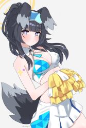 Rule 34 | 1girl, absurdres, animal ears, black hair, blue archive, blue eyes, blush, breasts, cheerleader, cleavage, commentary, crop top, dog ears, dog girl, dog tail, english commentary, eyewear on head, goggles, goggles on head, grey background, grey eyes, halo, hibiki (blue archive), hibiki (cheer squad) (blue archive), highres, holding, holding pom poms, long hair, looking at viewer, magui3, medium breasts, midriff, millennium cheerleader outfit (blue archive), official alternate costume, pleated skirt, pom pom (cheerleading), pom poms, ponytail, simple background, skirt, solo, star (symbol), star sticker, sticker on arm, sticker on face, tail, twitter username, yellow halo