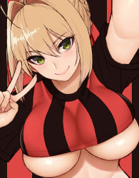 Rule 34 | 1girl, ahoge, black shirt, blonde hair, blush, braid, breasts, closed mouth, cocq taichou, crop top, fate/extra, fate (series), french braid, green eyes, hair between eyes, hair bun, hair intakes, large breasts, long hair, looking at viewer, nero claudius (fate), nero claudius (fate) (all), nero claudius (fate/extra), outstretched arm, red shirt, selfie, shirt, short sleeves, single hair bun, smile, solo, striped clothes, striped shirt, underboob, v