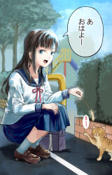 Rule 34 | 1girl, bag, blue eyes, blue sky, breasts, brown hair, bush, cat, cattail, cloud, commentary request, full body, highres, loafers, long sleeves, medium skirt, open mouth, original, pageratta, plant, school bag, school uniform, serafuku, shoes, skirt, sky, slide, small breasts, smile, socks, solo, squatting, translation request, tree, white socks