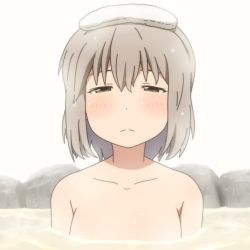 Rule 34 | 1girl, blush, closed mouth, collarbone, commentary request, green eyes, grey hair, hair between eyes, half-closed eyes, looking at viewer, nude, onsen, partially submerged, shirosato, simple background, solo, towel, towel on head, upper body, water, white background, yama no susume, yukimura aoi