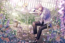 Rule 34 | 1boy, allis-well, artist name, black footwear, black pants, bloom, bracelet, bush, buttons, chair, closed mouth, collared shirt, commentary, day, dream mansion, fence, flower, flower pot, flower request, hair between eyes, highres, jacket, jewelry, lapels, leaf, light purple hair, long sleeves, looking at viewer, male focus, min heng, open clothes, open jacket, outdoors, pants, pink flower, pink rose, plant, potted plant, purple flower, purple jacket, purple shirt, red eyes, rose, shirt, shoes, short hair, sitting, solo, sunlight, symbol-only commentary, table, vase, weibo logo, weibo watermark, white flower, wisteria