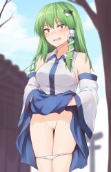 Rule 34 | 1girl, bare shoulders, blue eyes, blue skirt, blue sky, blush, breasts, censored, clothes lift, cloud, commentary request, constricted pupils, cowboy shot, day, detached sleeves, flashing, frog hair ornament, green hair, groin, hair ornament, hair tubes, highres, kochiya sanae, lifted by self, long hair, long sleeves, looking at viewer, medium breasts, miyo (ranthath), mosaic censoring, open mouth, outdoors, panties, panty pull, pussy, shirt, sidelocks, skirt, skirt lift, sky, snake hair ornament, solo, standing, sweat, thigh gap, thighs, touhou, tree, underwear, viewfinder, white panties, white shirt, wide sleeves