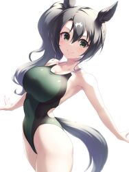 Rule 34 | 1girl, alternate costume, animal ears, armpits, arms at sides, back cutout, black hair, black tail, blush, breasts, cleavage, closed mouth, clothing cutout, collarbone, competition swimsuit, covered navel, cowboy shot, double-parted bangs, from side, green eyes, green one-piece swimsuit, groin, hair between eyes, highleg, highleg swimsuit, highres, horse ears, horse girl, horse tail, large breasts, long hair, looking at viewer, medium bangs, multicolored hair, one-piece swimsuit, pataneet, satono crown (umamusume), side ponytail, simple background, smile, solo, standing, streaked hair, swimsuit, tail, thighs, two-tone hair, umamusume, wavy hair, white background, white hair