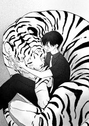 Rule 34 | 1boy, animal, blush, character request, closed eyes, collared shirt, commentary request, ex rank supporting role&#039;s replay in a prestigious school, greyscale, jo uisin, korean commentary, male focus, monochrome, necktie, open mouth, pants, shirt, short hair, short sleeves, simple background, sitting, smile, tiger, twitter username, yeong0h0