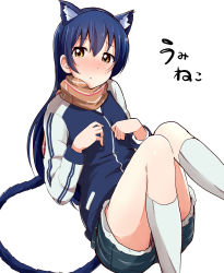Rule 34 | 1girl, animal ears, blue hair, blue jacket, blush, cat ears, cat tail, commentary request, fake animal ears, female focus, hair between eyes, highres, jacket, kneehighs, long hair, looking at viewer, love live!, love live! school idol festival, love live! school idol project, paw pose, scarf, shorts, simple background, socks, solo, sonoda umi, tail, tata (tataice), white background, yellow eyes