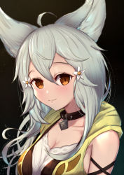 Rule 34 | 1girl, ahoge, animal ear fluff, animal ears, black background, black collar, blush, breasts, brown eyes, cleavage, closed mouth, collar, collarbone, commentary request, erune, flower, granblue fantasy, grey hair, hair between eyes, hair flower, hair ornament, highres, hood, hood down, hooded jacket, jacket, large breasts, long hair, looking at viewer, sen (granblue fantasy), sleeveless, sleeveless jacket, smile, solo, uneg, white flower, yellow jacket