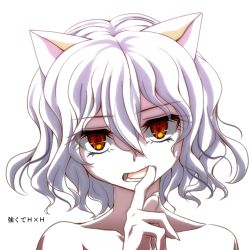 Rule 34 | androgynous, animal ears, bare shoulders, cat ears, finger in own mouth, gender request, hunter x hunter, neferpitou, open mouth, orange eyes, other focus, short hair, silver hair, solo, upper body, watarui, wavy hair