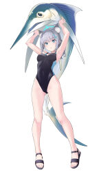 Rule 34 | 1girl, animal, animal ear fluff, animal ears, armpits, bare arms, bare legs, bare shoulders, black one-piece swimsuit, blue archive, blue eyes, blue halo, blush, breasts, competition swimsuit, cross hair ornament, fish, full body, grey hair, hair ornament, halo, holding, holding animal, holding fish, looking at viewer, marlin (fish), medium breasts, medium hair, official alternate costume, one-piece swimsuit, open mouth, sakana (flame sakana), sandals, shiroko (blue archive), shiroko (swimsuit) (blue archive), simple background, solo, swimsuit, white background, wolf ears