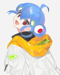 Rule 34 | 1girl, ahoge, animal, black eyes, blue hair, drawstring, frog, frog hair ornament, from behind, hair ornament, hood, hooded jacket, jacket, kero-chan (lunch), looking at viewer, looking back, lunch (lunchicken), open mouth, original, red-eyed tree frog, red eyes, simple background, smile, solo, upper body, white background