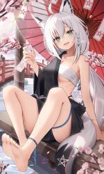 Rule 34 | 1girl, ahoge, alternate costume, animal ears, aqua eyes, barefoot, braid, breasts, cherry blossoms, chest sarashi, feet, fox ears, fox tail, hair between eyes, highres, hololive, japanese clothes, kimono, knees up, legs, long hair, looking at viewer, low ponytail, off shoulder, oil-paper umbrella, open mouth, sarashi, shirakami fubuki, side braid, sitting, small breasts, smile, soles, solo, tail, thomas 8000, toes, umbrella, very long hair, virtual youtuber, white hair