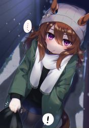 Rule 34 | ..., 1girl, ?, animal ears, beanie, black legwear, black sweater, blue skirt, blurry, blurry background, blush, brown hair, candy, coat, commentary request, ears through headwear, food, green coat, hair between eyes, hand in pocket, hat, highres, horse ears, horse girl, horse tail, lollipop, long hair, long sleeves, looking at viewer, miniskirt, mouth hold, nakayama festa (umamusume), night, notice lines, out of frame, outdoors, purple eyes, scarf, shirt grab, skirt, snow, spoken ellipsis, spoken question mark, sweater, tail, umamusume, watermelon-0615