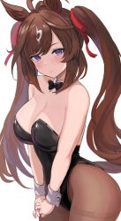 Rule 34 | 1girl, alternate costume, alternate hairstyle, animal ears, bare shoulders, black bow, black bowtie, black leotard, blue eyes, blush, bow, bowtie, breasts, brown hair, brown pantyhose, cleavage, closed mouth, commentary request, detached collar, duramente (umamusume), enumiyaa, grey wrist cuffs, hair ribbon, highres, horse ears, horse girl, large breasts, leotard, looking at viewer, multicolored hair, pantyhose, parted bangs, red ribbon, ribbon, simple background, solo, strapless, strapless leotard, streaked hair, thighband pantyhose, twintails, umamusume, v arms, white background, white hair