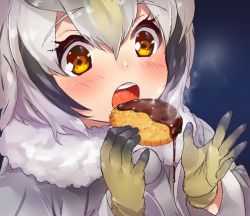 Rule 34 | 1girl, blonde hair, blush, buttons, chocolate, close-up, coat, commentary request, cookie, eating, food, fur collar, gloves, grey hair, hair between eyes, kemono friends, long sleeves, multicolored hair, northern white-faced owl (kemono friends), open mouth, short hair, solo, steam, tadano magu, white coat, white hair, yellow eyes, yellow gloves