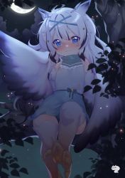 Rule 34 | 1girl, ahoge, bare shoulders, belt, bird legs, black feathers, black hair, black wings, blue eyes, blush, commentary, crescent moon, dress, english commentary, english text, feathers, flat chest, hair ornament, hairclip, harpy, heart, heart-shaped pupils, highres, long hair, monster girl, moon, night, night sky, niniidawns, original, sky, sleeveless, sleeveless dress, solo, star (sky), starry sky, symbol-shaped pupils, talons, thighhighs, two-tone wings, very long hair, virtual youtuber, white background, white feathers, white wings, winged arms, wings, zettai ryouiki