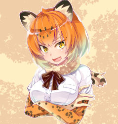 Rule 34 | &gt;:d, 10s, :d, animal ears, black ribbon, blonde hair, breast pocket, breasts, buttons, collar, cropped torso, crossed arms, eyebrows, eyes visible through hair, fang, frilled sleeves, frills, fur collar, gradient hair, imu sanjo, jaguar (kemono friends), jaguar ears, jaguar print, kemono friends, large breasts, looking at viewer, multicolored background, multicolored hair, neck ribbon, open mouth, orange hair, outdoors, outline, pocket, ribbon, shiny skin, shirt, short hair, short sleeves, smile, solo, spotted hair, tree, tsurime, upper body, v-shaped eyebrows, white outline, white shirt, yellow eyes