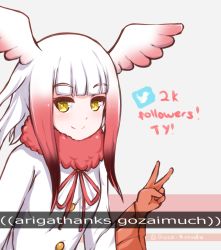 Rule 34 | 10s, 1girl, bird wings, coat, disco brando, english text, engrish text, hair ornament, head wings, japanese crested ibis (kemono friends), kemono friends, long hair, long sleeves, looking at viewer, multicolored hair, ranguage, red hair, red ribbon, ribbon, smile, solo, twitter, twitter username, two-tone hair, v, white coat, white hair, winged hair ornament, wings, yellow eyes