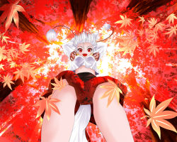 Rule 34 | 1girl, :d, animal ears, autumn leaves, bare shoulders, breasts, cross-laced clothes, detached sleeves, falling, falling leaves, fang, forest, from below, hachidori tou, highres, inubashiri momiji, leaf, leaf print, looking at viewer, looking down, midriff, nature, open mouth, pants, pom pom (clothes), red eyes, smile, solo, tail, touhou, tree, wide-eyed, wolf ears, wolf tail