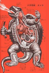 Rule 34 | anatomy, biology, breath weapon, breathing fire, chart, cross-section, daiei film, diagram, elemental (creature), energy, fire, fire elemental, gamera, gamera, the giant monster, gamera (series), giant, giant monster, heart, intestines, japanese text, kadokawa, kaijuu, lungs, monochrome, monster, multiple stomachs, no humans, official art, ohtomo shoji, organs, plasma, science, science fiction, shell, stomach, tail, train, train car, translation request, turtle, turtle shell, tusks, x-ray