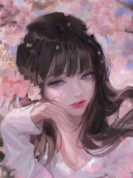 Rule 34 | 1girl, absurdres, black hair, blunt bangs, blurry, bm94199, brown hair, cherry blossoms, day, eyebrows hidden by hair, hand up, highres, lips, long hair, long sleeves, looking away, original, outdoors, parted lips, purple eyes, sleeves past wrists, solo, upper body