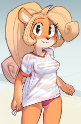 Rule 34 | 1girl, ahoge, animal ears, bad id, bad newgrounds id, blonde hair, blush, body fur, breasts, clenched hands, coco bandicoot, cowboy shot, crash bandicoot (series), female focus, furry, furry female, gluteal fold, gradient background, green eyes, grey background, happy, heart, highres, huge ahoge, jaggy lines, light blush, long hair, looking at viewer, medium breasts, navel, nipples, no bra, panties, parted lips, ponytail, red panties, see-through, shirt, shirt tug, short sleeves, simple background, smile, solo, standing, teeth, underwear, wamudraws, wet, wet clothes, wet shirt, white shirt