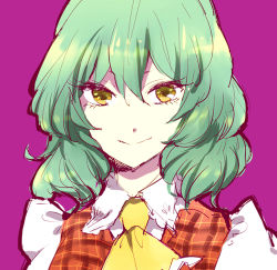 Rule 34 | 1girl, alternate eye color, ascot, female focus, green hair, kazami yuuka, looking at viewer, lowres, plaid, plaid vest, purple background, shinoasa, simple background, smile, solo, touhou, upper body, vest, yellow eyes