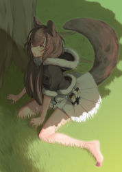 Rule 34 | 1girl, animal ears, arknights, between legs, black jacket, brown hair, commentary request, dated commentary, fur-trimmed hood, fur-trimmed jacket, fur trim, grass, hair between eyes, hand between legs, highres, honeyberry (arknights), hood, hood down, hooded jacket, jacket, long hair, low twintails, multicolored hair, open mouth, outdoors, pleated skirt, shadow, sitting, skirt, solo, squirrel ears, squirrel girl, squirrel tail, streaked hair, tail, thighs, tree, twintails, wariza, white hair, white skirt, yamauchi (conan-comy), yellow eyes