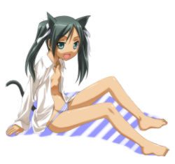 Rule 34 | 00s, 1girl, animal ears, bad id, bad pixiv id, barefoot, black hair, cat ears, cat tail, collarbone, feet, female focus, flat chest, francesca lucchini, hair ornament, navel, open clothes, open mouth, open shirt, panties, shiny clothes, shiny skin, shirt, simple background, sitting, smile, solo, solo focus, strike witches, striped clothes, striped panties, tail, tan, tongue, twintails, umekichi, underwear, white background, white shirt, world witches series