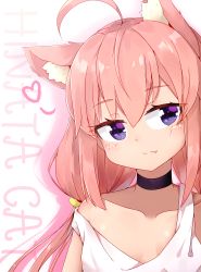 Rule 34 | 1girl, absurdres, ahoge, animal ear fluff, animal ears, cat ears, character name, choker, collarbone, fang, highres, hinata channel, long hair, low twintails, nekomiya hinata, pink hair, purple eyes, smile, solo, strap slip, twintails, upper body, vest, virtual youtuber, white vest