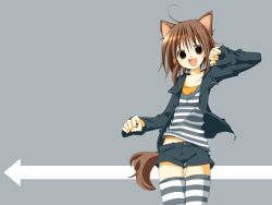 Rule 34 | 1girl, ahoge, animal ears, arrow (symbol), brown hair, cat ears, shorts, solo, striped clothes, striped thighhighs, thighhighs, wallpaper