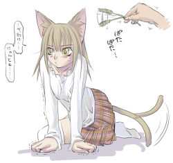 Rule 34 | 1girl, animal ears, arm support, blouse, blush, cat ears, cat tail, cat teaser, leaning forward, light brown hair, long hair, miniskirt, plaid, shirt, sidelocks, skirt, socks, solo focus, tail, tail wagging, thighhighs, translated, tsundere, white thighhighs, yellow eyes, you2, zettai ryouiki