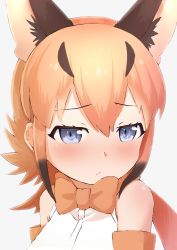 Rule 34 | 1girl, absurdres, animal ear fluff, animal ears, bad id, bad twitter id, bare shoulders, black hair, blue eyes, blush, bow, bowtie, caracal (kemono friends), close-up, commentary request, deku suke, elbow gloves, embarrassed, extra ears, gloves, highres, kemono friends, light brown hair, long hair, multicolored hair, nose blush, portrait, sidelocks, sleeveless, solo, traditional bowtie, upper body