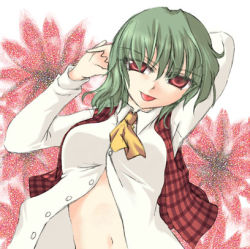 Rule 34 | 1girl, :p, ascot, female focus, flower, green hair, kazami yuuka, lowres, midriff, navel, open clothes, open shirt, plaid, plaid vest, red eyes, shirt, short hair, solo, tongue, tongue out, touhou, vest