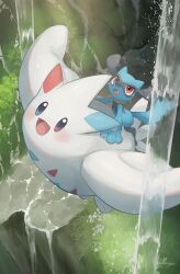 Rule 34 | blue eyes, blush, creatures (company), fang, flying, game freak, gen 4 pokemon, grass, looking up, nintendo, nullma, open mouth, pokemon, pokemon (creature), red eyes, riding, riolu, sidelocks, signature, smile, togekiss, water, wings