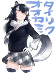 Rule 34 | 1girl, animal ears, arm at side, black hair, black jacket, black thighhighs, blue eyes, breasts, buttons, cleavage, closed mouth, cowboy shot, cropped legs, extra ears, fur collar, gloves, grey wolf (kemono friends), hair between eyes, hand on own hip, head tilt, heterochromia, jacket, kemono friends, large breasts, long hair, long sleeves, looking at viewer, medium breasts, miniskirt, multicolored hair, necktie, orange eyes, parted bangs, plaid, plaid necktie, plaid skirt, pleated skirt, shiso (sticky shiso), skirt, smile, smug, solo, tail, thighhighs, two-tone hair, v-neck, white gloves, white hair, wolf ears, wolf girl, wolf tail, zettai ryouiki