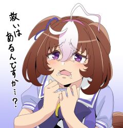 Rule 34 | 1girl, @ @, ahoge, animal ears, blush, bow, bowtie, frown, gradient background, hairband, hands up, horse ears, horse girl, horse tail, looking at viewer, medium hair, meisho doto (umamusume), multicolored hair, open mouth, purple eyes, purple shirt, sailor collar, shirt, short sleeves, solo, tail, tearing up, translated, two-tone hair, umamusume, wakoudo, wilted ahoge