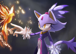 Rule 34 | 1girl, animal ears, bird, blaze the cat, cat ears, cat girl, cat tail, fire, forehead jewel, fur-trimmed gloves, fur trim, furry, furry female, gloves, gold necklace, highres, jacket, jewelry, necklace, neo (blazykun), pants, ponytail, purple fur, purple jacket, sonic (series), tail, white gloves, white pants, yellow eyes