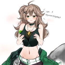 Rule 34 | 1girl, ao tanuki, blush, choker, clothes around waist, collarbone, elsword, green choker, green jacket, groin, hands on own breasts, highres, jacket, jacket around waist, jewelry, korean text, lithia beryl (elsword), midriff, navel, necklace, rock, shorts, simple background, solo, sweatdrop, translation request, white background, white shorts