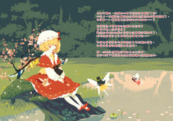 Rule 34 | 4girls, animal, animal hug, blonde hair, rabbit, chinese text, fairy, female focus, flandre scarlet, frog, hat, jpeg artifacts, light smile, multiple girls, nature, penpon, pond, red eyes, short hair, side ponytail, sitting, touhou, traditional chinese text, translation request, tree