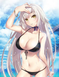 Rule 34 | 1girl, arm at side, bare shoulders, bikini, black bikini, blurry, blush, breasts, cleavage, collarbone, cowboy shot, depth of field, fate/grand order, fate (series), front-tie top, groin, hair between eyes, halterneck, head tilt, highres, jeanne d&#039;arc (fate), jeanne d&#039;arc alter (avenger) (fate), jeanne d&#039;arc alter (fate), large breasts, long hair, looking at viewer, navel, ocean, palm leaf, silver hair, solo, standing, stomach, swimsuit, thighs, very long hair, water, yellow eyes, yoshida takuma