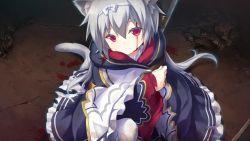 Rule 34 | 1girl, amayui castle meister, animal ears, blood, blood on face, cat ears, cat girl, cat tail, cloak, closed mouth, eushully, female focus, hair between eyes, hair ornament, hood, hoodie, injury, iol (amayui castle meister), looking at viewer, over shoulder, petite, red eyes, ribbon, serious, short hair, solo, sword, tail, tears, thighhighs, torn clothes, weapon, weapon on back, weapon over shoulder, white hair, white ribbon, yano mitsuki (nanairo)