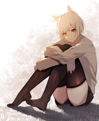 Rule 34 | 1girl, animal ears, black shorts, black thighhighs, cat ears, cat girl, commentary request, feet, full body, gradient background, grey background, grey sweater, highres, kisui (28992125), knees up, long sleeves, looking at viewer, original, parted lips, short hair, short shorts, shorts, silver hair, sitting, sleeves past wrists, solo, sweater, swept bangs, thighhighs, toes, yellow eyes