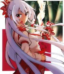Rule 34 | 1girl, baggy pants, blouse, bow, breasts, closed mouth, collared shirt, commentary request, fire, fujiwara no mokou, hair bow, hand on own hip, highres, juliet sleeves, long hair, long sleeves, looking at viewer, looking back, pants, puffy sleeves, red eyes, red pants, shinmon akika, shirt, sleeve garter, small breasts, smile, solo, suspenders, touhou, upper body, very long hair, white hair, white shirt