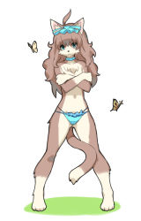 Rule 34 | 1girl, ahoge, animal ear fluff, animal ears, animal nose, beige fur, blue choker, blue eyes, blue panties, blue ribbon, body fur, breasts, brown fur, brown hair, bug, butterfly, cat, cat ears, cat girl, cat tail, choker, collarbone, commentary, covering privates, covering breasts, crossed arms, digitigrade, furry, furry female, gunbuster pose, hair between eyes, hair ribbon, insect, long hair, medium breasts, midriff, navel, no bra, original, panties, ribbon, simple background, solo, standing, tail, two-tone fur, underwear, white background, wkar