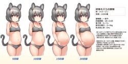 Rule 34 | 1860 (ichi), 1girl, animal ears, big belly, bra, breasts, cropped legs, double strap slip, grey bra, grey hair, grey panties, mouse (animal), mouse ears, mouse girl, mouse tail, navel, nazrin, panties, pregnancy progression, pregnant, progression, red eyes, short hair, small breasts, tail, touhou, translated, underwear