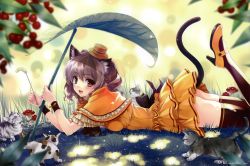 Rule 34 | 1girl, :d, animal ears, ass, black thighhighs, blush, brown eyes, brown hair, cat, cat ears, cat tail, cattail, dress, duplicate, fang, female focus, frilled dress, frills, hat, leaf, looking at viewer, lying, misaki kurehito, mushroom, nature, on stomach, open mouth, original, outdoors, plant, shoes, smile, solo, tail, thighhighs, wristband
